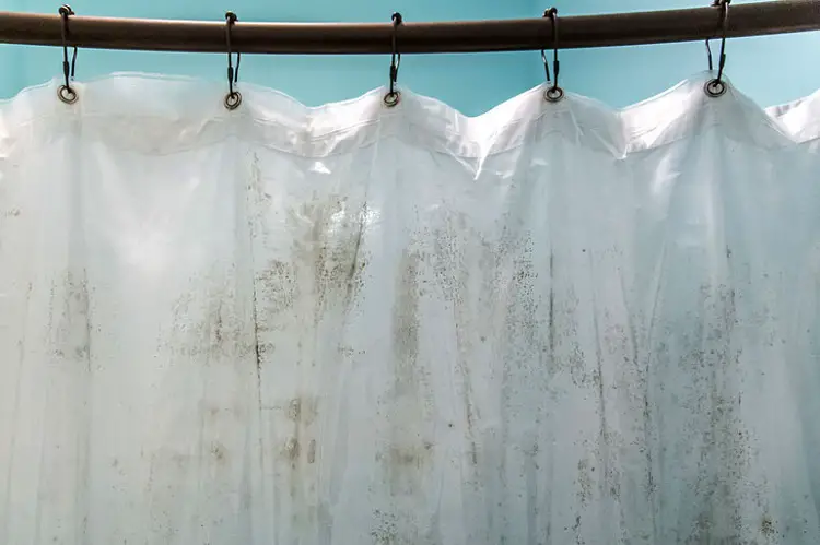 Moldy Shower Curtain, How To Get Pink Water Stains Out Of Shower Curtain