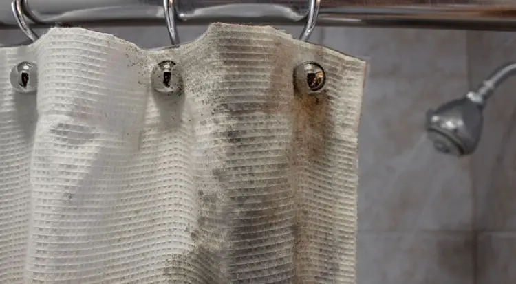 Moldy Shower Curtain, How To Remove Mold From Bathroom Curtains