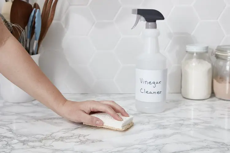11 Tips to Get Rid of Basement Mold 12 GET RID OF BASEMENT MOLD WITH VINEGAR