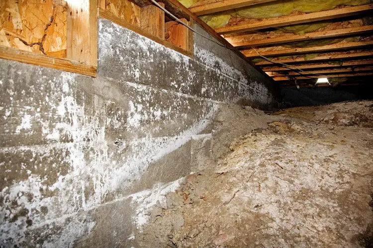 CRAWL SPACE MOLD REMEDIATION – CRAWL SPACE REMOVAL COST