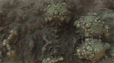 Is Mold Testing Necessary For Your Home How To Test Black Mold Fungus