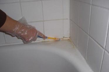 Bathroom Mold Removal How To Get Rid Of Bathroom Mold Mildew