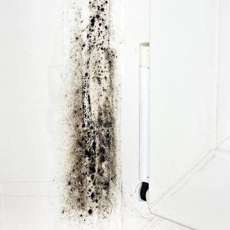Black Mold On Windows Mold Growing on Window