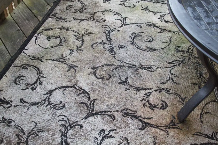Moldy Carpet