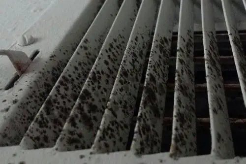 Moldy Ducts