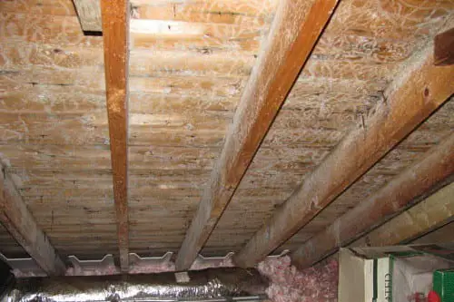 How To Remove Mold From Attic Plywood Diy Image Balcony
