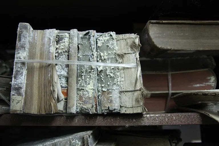 How To Remove Mold From Books