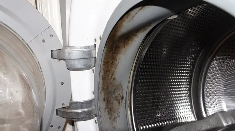 How To Clean Mold From Front Load Washer