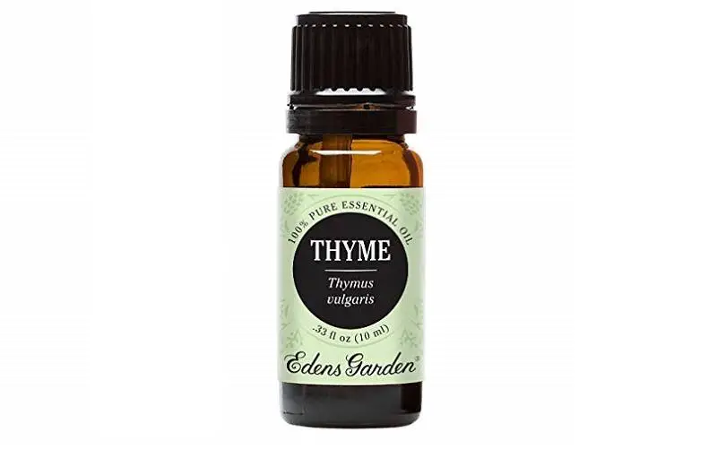 Edens Garden Thyme Essential Oil
