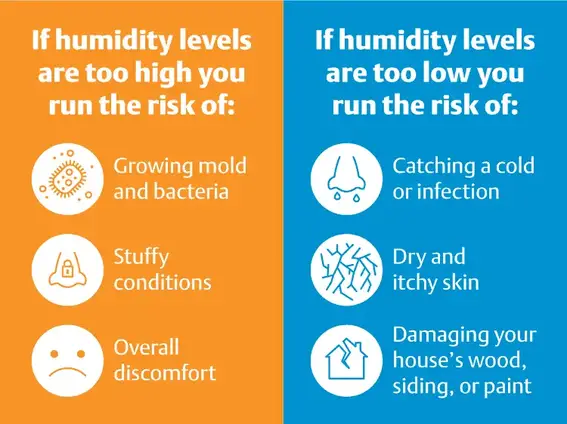 Home Humidity Levels
