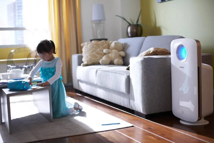 Best Air Purifiers To Remove Mold Spores And Pollutants In Your Home