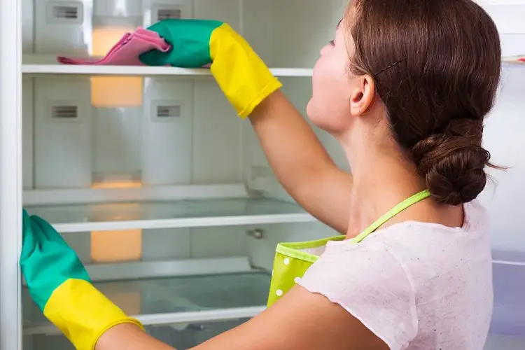 Simple Steps for Cleaning Mold from the Fridge Interior