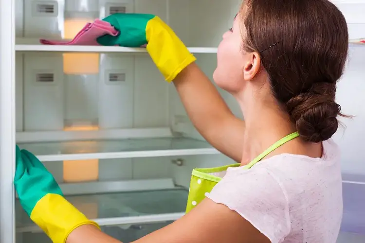 Proste kroki do Cleaning Mold from the Fridge Interior