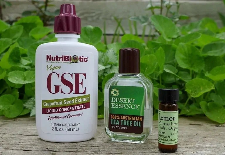 Best Essential Oils For Killing Mold And Mildew Naturally