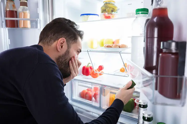 How to Kill the Mold Smell In Your Fridge