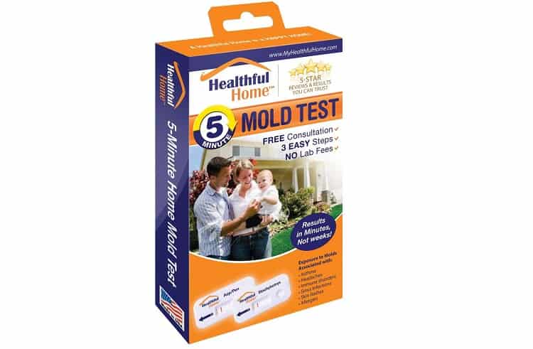 Healthful Home Mold Test