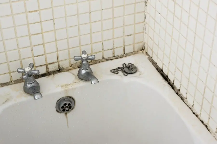 Bathroom Mold Removal How to Get Rid of Bathroom Mold