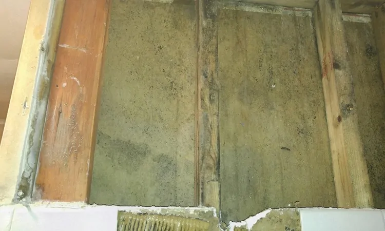 green mold on wood example