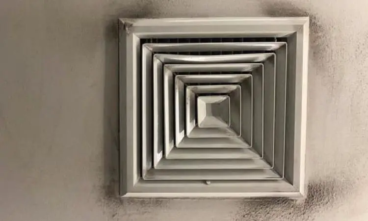 clean mold in air ducts