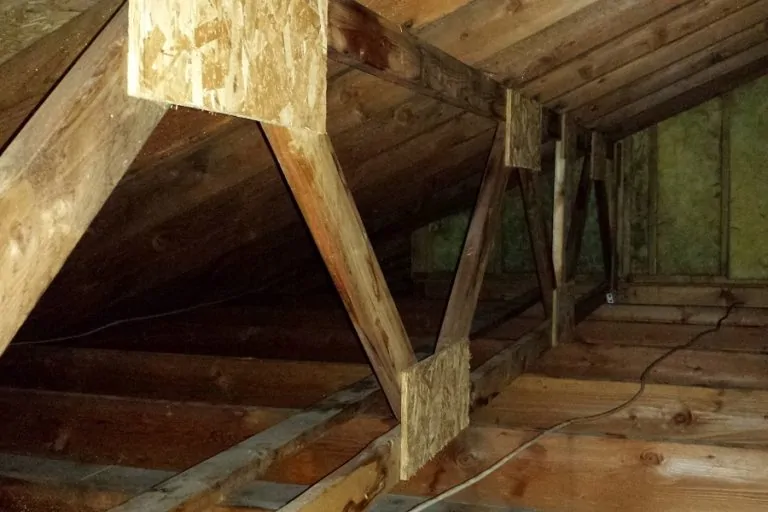 Surviving Mold in Your Attic How to Kill Attic Mold