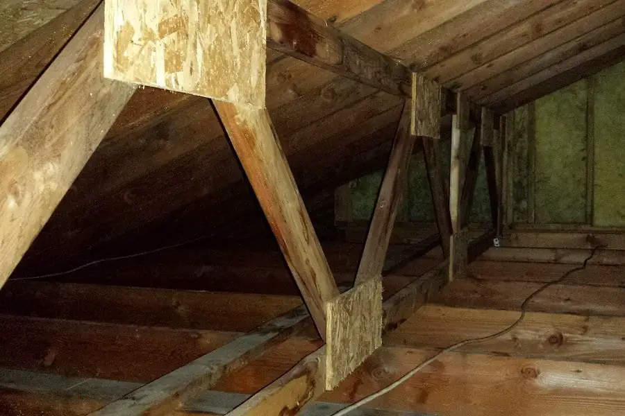 Surviving Mold In Your Attic