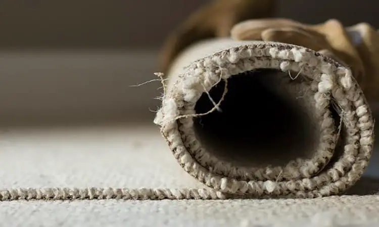 how to prevent carpet mold