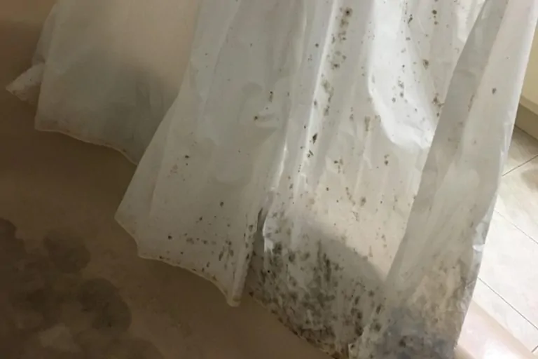 Shower Curtains Mold at Josephine Ghent blog