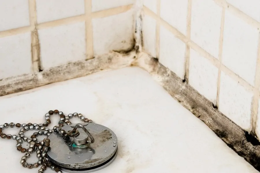 Removing Shower Mold Got You Bathing Outside?