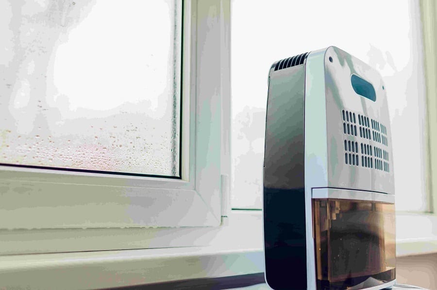 Best Basement Dehumidifier For Every Budget