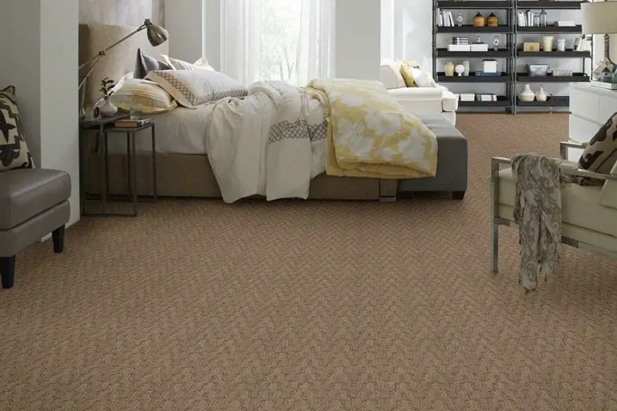 Mold Resistant Carpets - How To Choose The Right One?