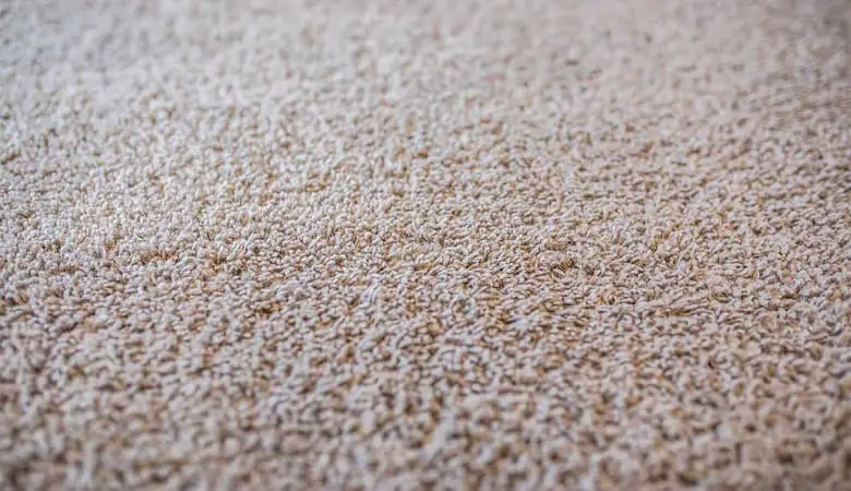 Nylon mold resistant carpets