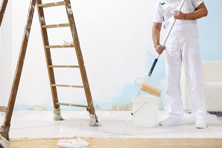 How Long Does Mold-Resistant Paint Last?