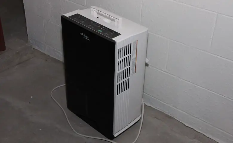dehumidifiers for mold