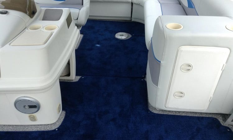 boat carpet mold