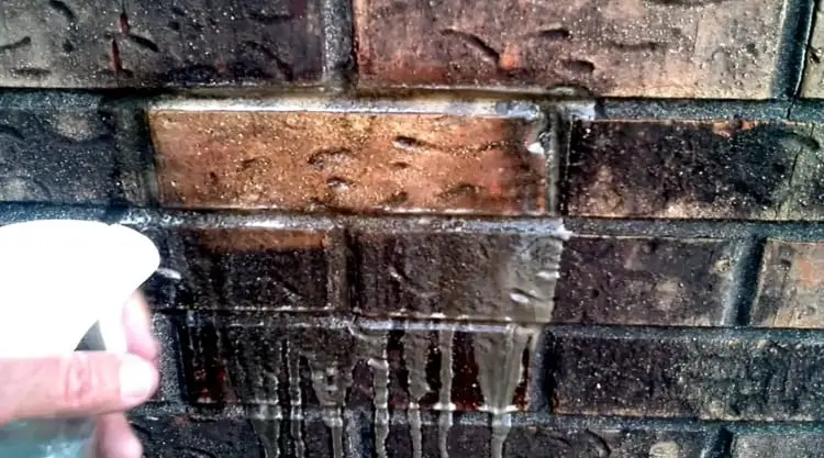 Get Rid of Mold and Mildew from Brick Surfaces