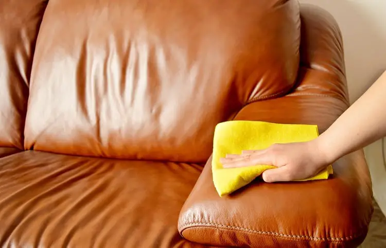 Remove Mold on Leather Furniture