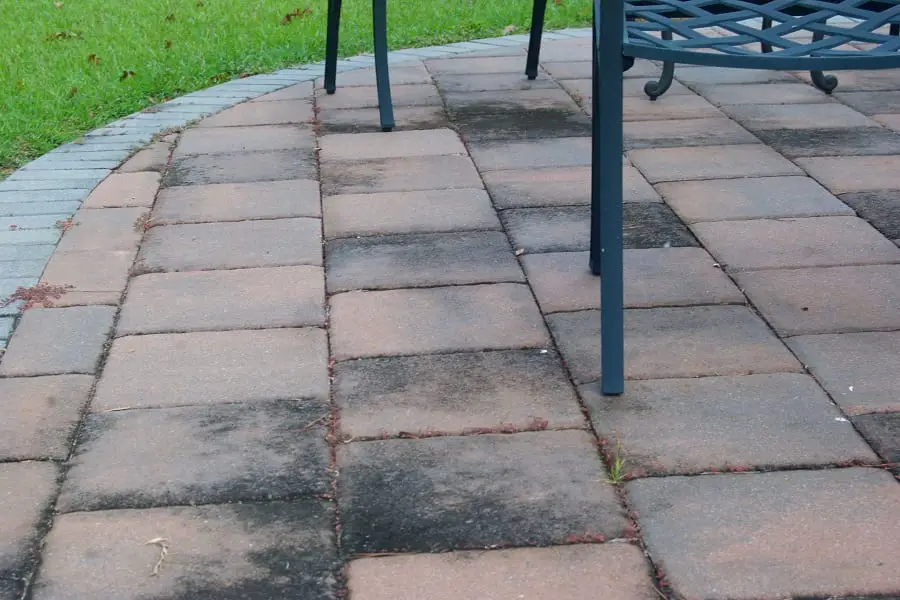 How to Remove Mold from Concrete Patio