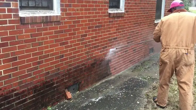 5 Natural Ways To Clean & Remove Mold From Bricks