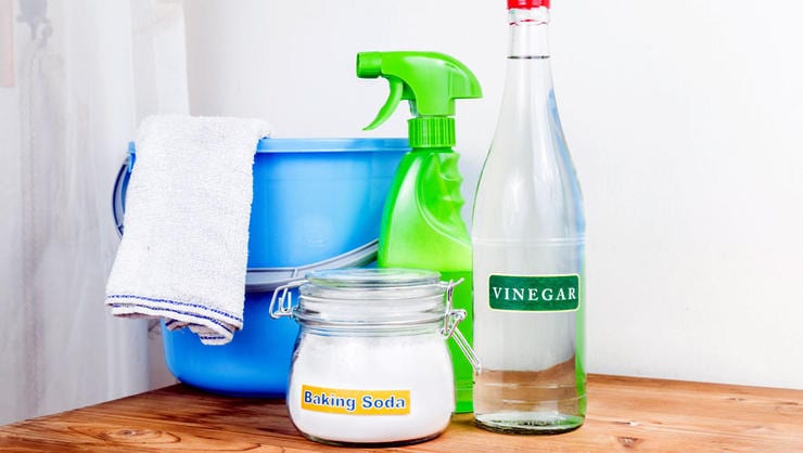 vinegar for mold removal