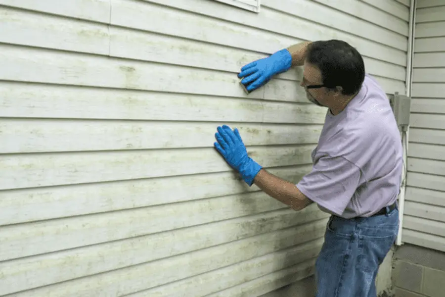 How to Remove Mold from Vinyl Siding