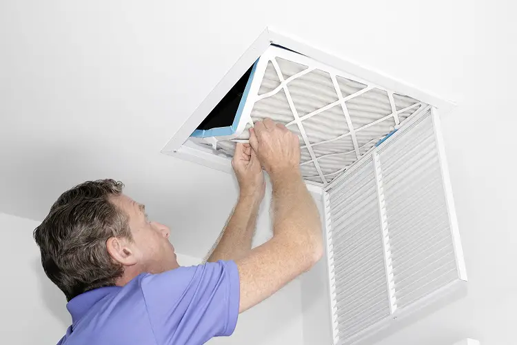 HVAC mold checkup