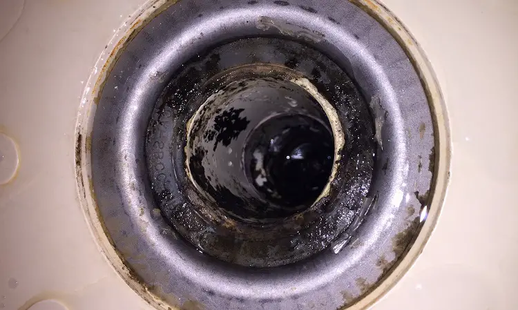 shower drain mold