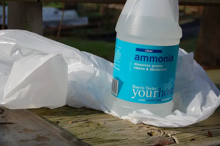 How to Kill Black Mold With Ammonia