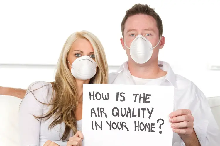 7 Steps for Improving Air Quality at Home