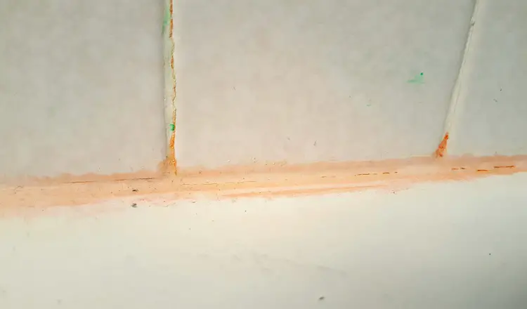 pink mold in shower