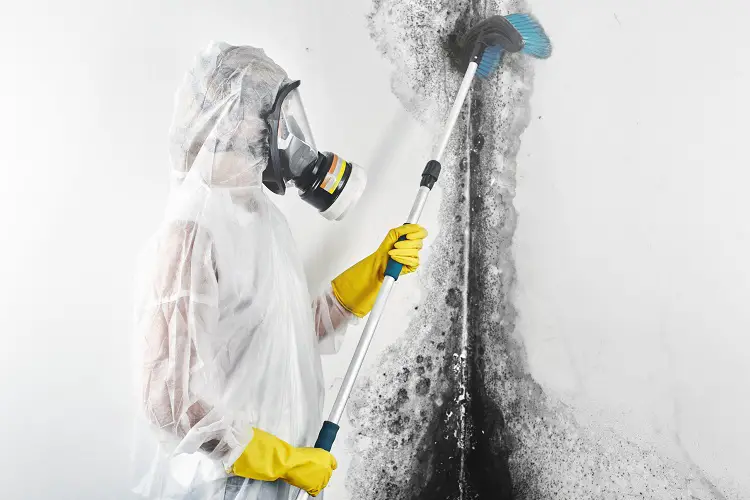 Can I be home during mold remediation?