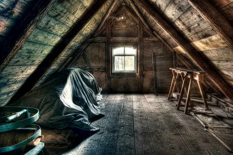 HOW TO REMOVE ATTIC MOLD BY POWER SANDING